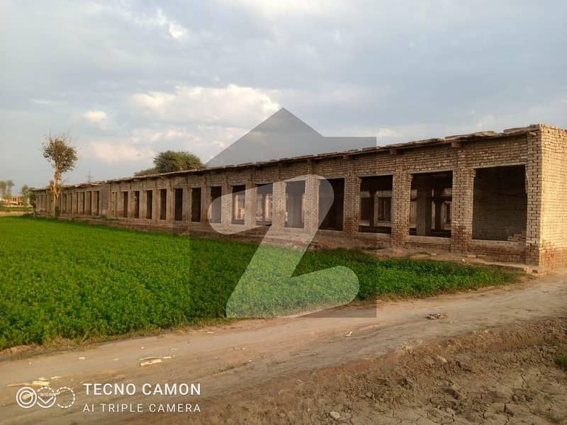 Open Poultry Faram Available For Rent
