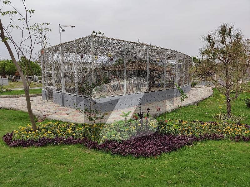 5 Marla plot for sale available DHA Gujranwala 5 Marla plot for sale available DHA Gujranwala