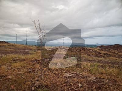 Solid land plot Solid land plot
