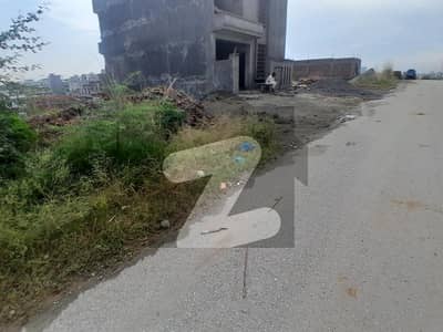 جناح