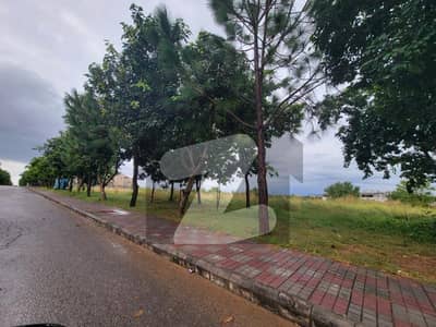 Gulberg