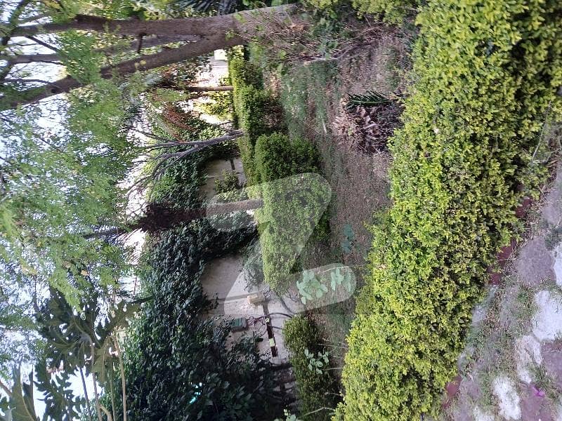 Cheap House for Sale in F-8 Cheap House for Sale in F-8