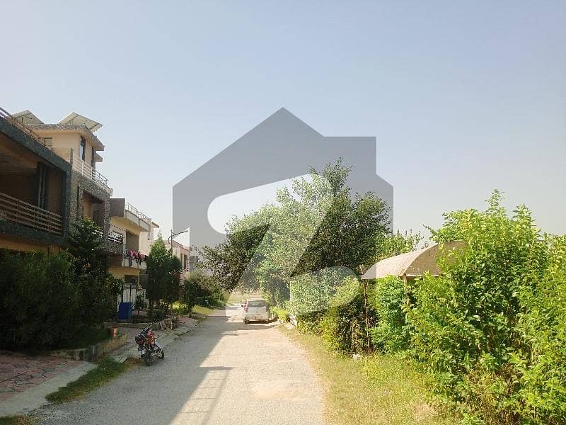 D Block Plot For Sale