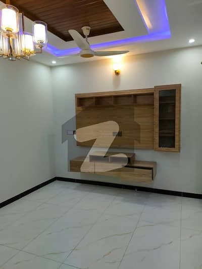 جناح