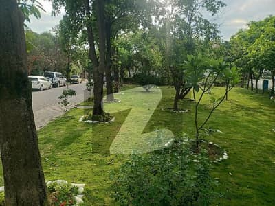 ڈی