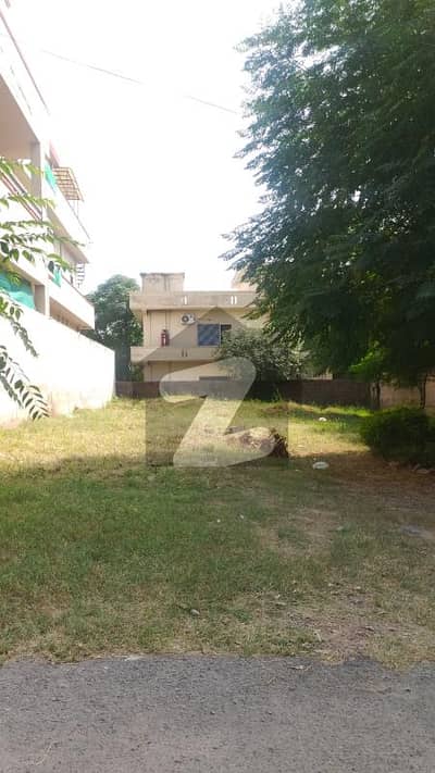 10 Marla Residential Plot For Sale