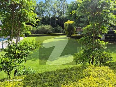 Beautiful Luxurious House Available For Sale In F- 8 Islamabad. | 7 Bedrooms | Top Off Location. Low Price.