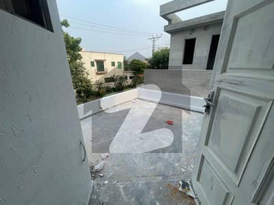 ڈی