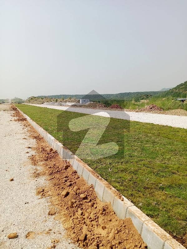 Plot For Sale In C-14 Plot For Sale In C-14