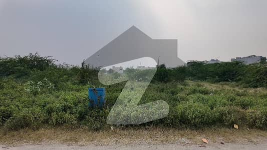 DHA