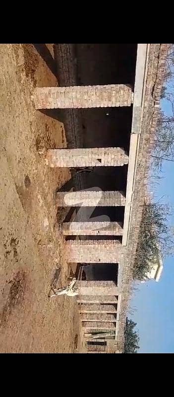 Dary Farm Available For Rent