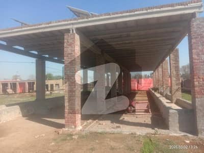Cattle Farm Dary Farm   For Rent
