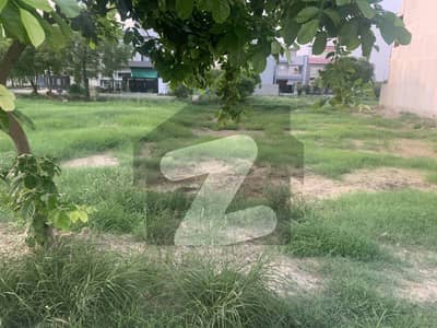 ڈی