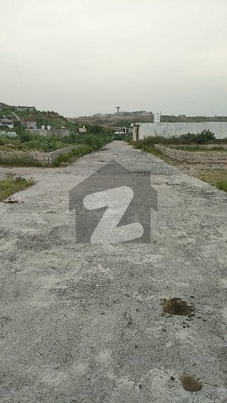 3 Marla Plot For Sale 3 Marla Plot For Sale