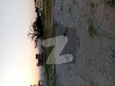 جی