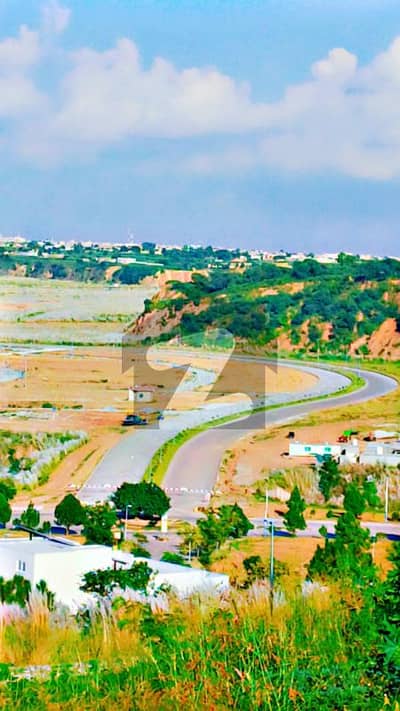 Prime 1 Kanal Top Heighted Plot For Sale In Sector F
