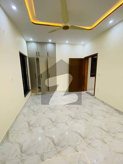 ڈریمز