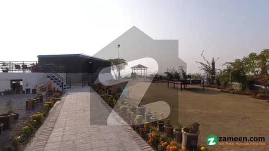 انجنیئرنگ
