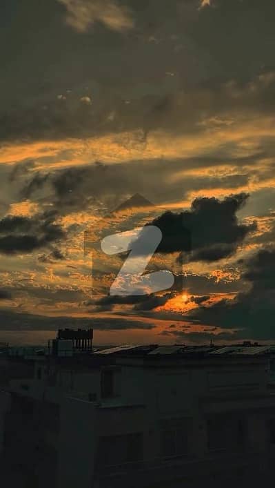 جناح