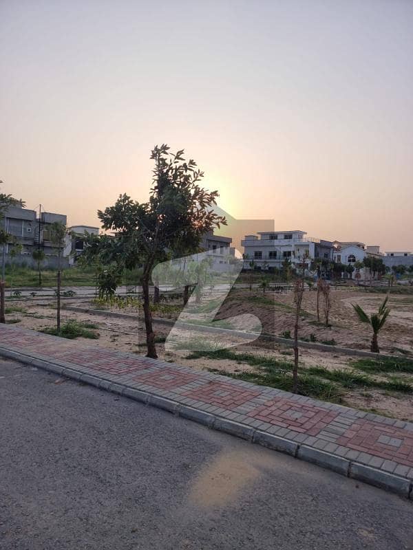 14 Marla Cornered Plot 14 Marla Cornered Plot