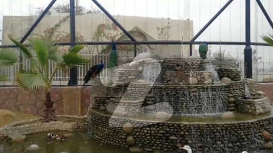 بی