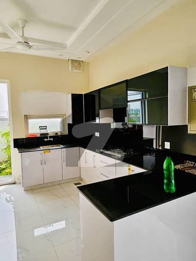 1.4 Kanal Farm House For Sale Bedia Road Lahore