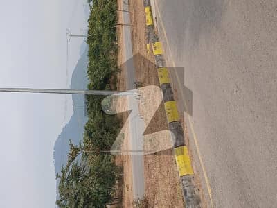 ڈی