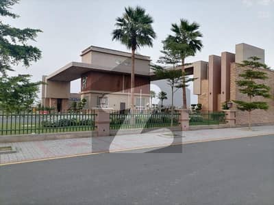 رئیل