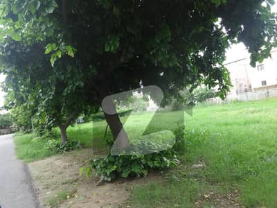 ڈی