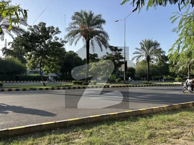 Exclusive Commercial Plot