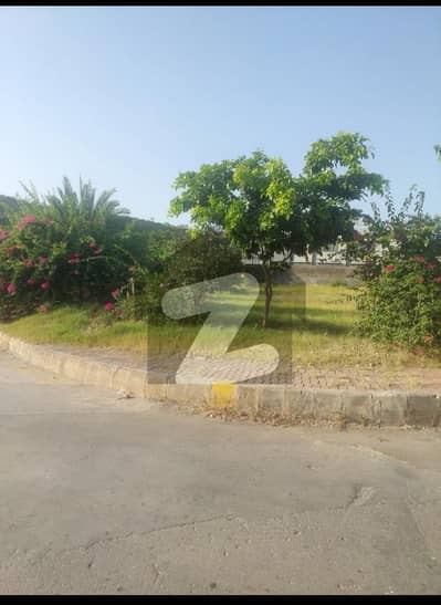 Bahria Hamlet Phase 8 Main Blvd Corner + 16 Marla Extra Land | Facing DHA Phase 3