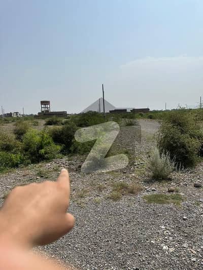 ریگی