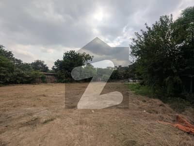 گلبرگ