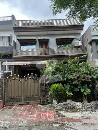 Triple story renovated best condition house with excellent rental