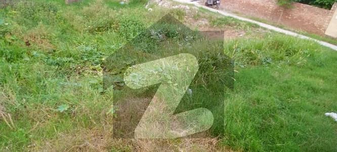 اسکائی