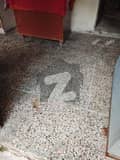 29 