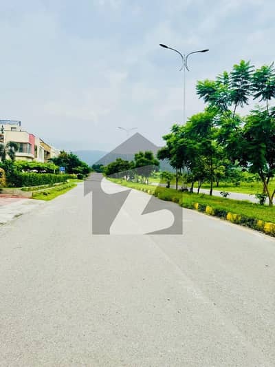 ڈی