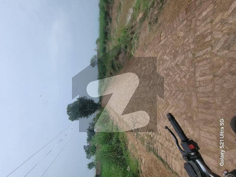 راجہ جنگ قصور میں 27 کنال زرعی زمین 3.7 کروڑ میں برائے فروخت۔ راجہ جنگ قصور میں 27 کنال زرعی زمین 3.7 کروڑ میں برائے فروخت۔