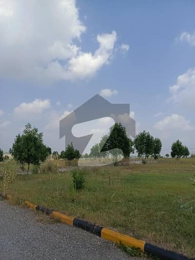 ڈی