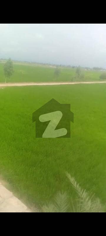 کھڈیاں