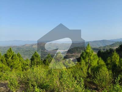 14 Kanal Land for Sale Simly Dam (40 Minutes from Serena Hotel)