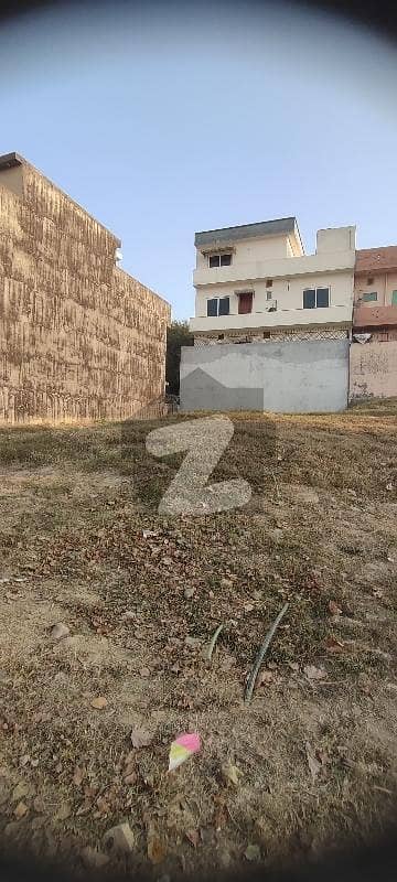 ایم