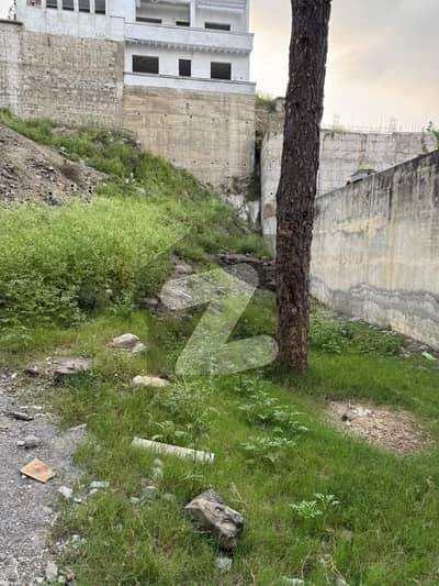 REHMAT STREET 1 KANAL PLOT PEACEFUL AREA
