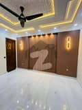 24 