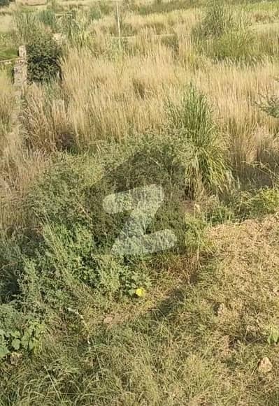 Low Budget Plot Is For Sale