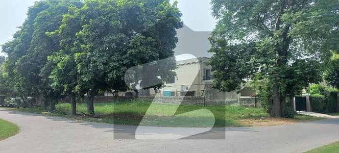 Dha