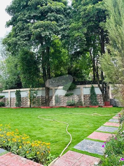 بنی گالہ اسلام آباد میں 5 کمروں کا 1 کنال مکان 6.5 کروڑ میں برائے فروخت۔