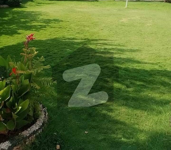 HOUSE WITH HUGE LAWN AND CAR SPACE HOUSE WITH HUGE LAWN AND CAR SPACE