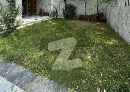 ایف