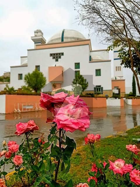 14 Marla Level Plot For Sale 14 Marla Level Plot For Sale